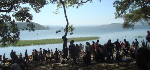 Crowd of people and birds at lake Hawassa