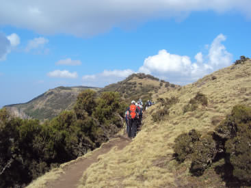 Group trekking a narrow, single file trail in the Simen Mountains