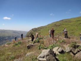 Group trekking in the Simen Mountains